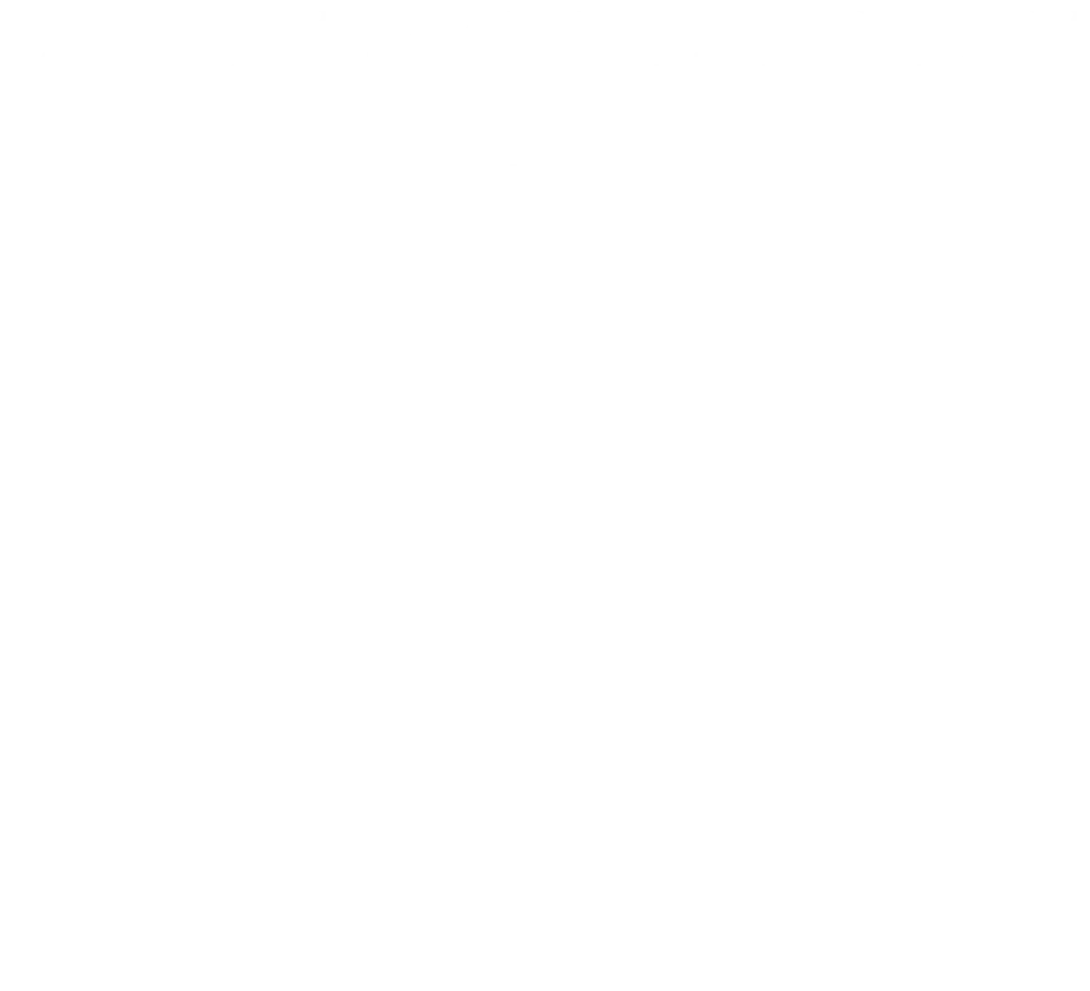 LUXURY MADE EVERYDAY 正天母 藏天玉
